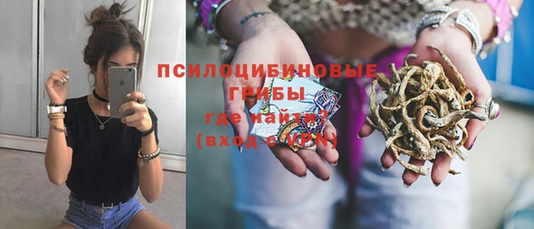 скорость Алзамай