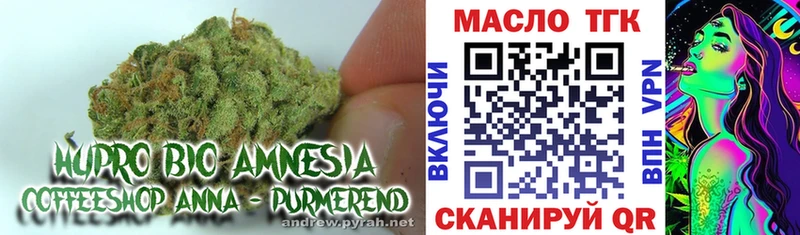 Дистиллят ТГК гашишное масло  продажа наркотиков  Андреаполь 