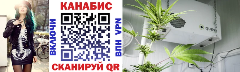 Шишки марихуана Ganja  купить  цена  Андреаполь 